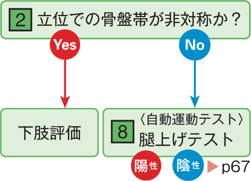 図（正）