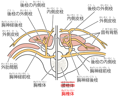 295頁・図5-81 訂正