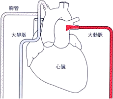 図・誤