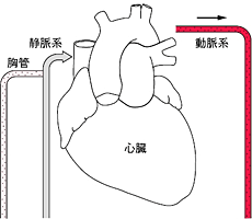 図・正