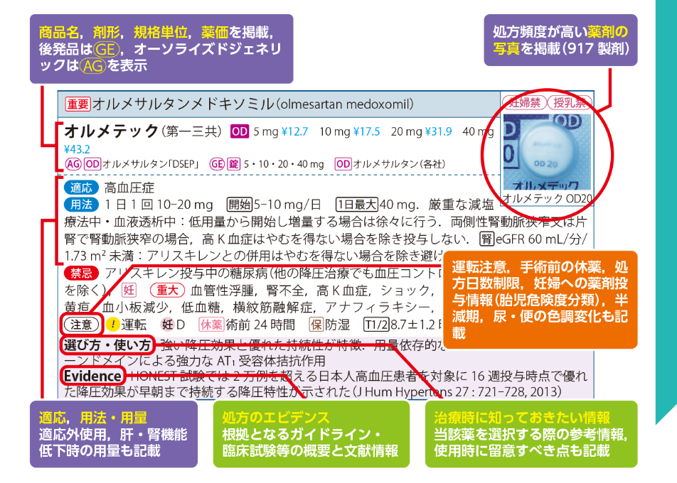 フルカラーで見やすい