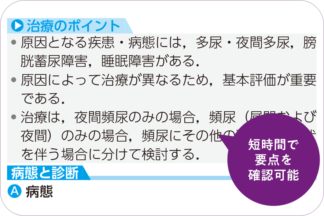 短時間で要点を確認可能