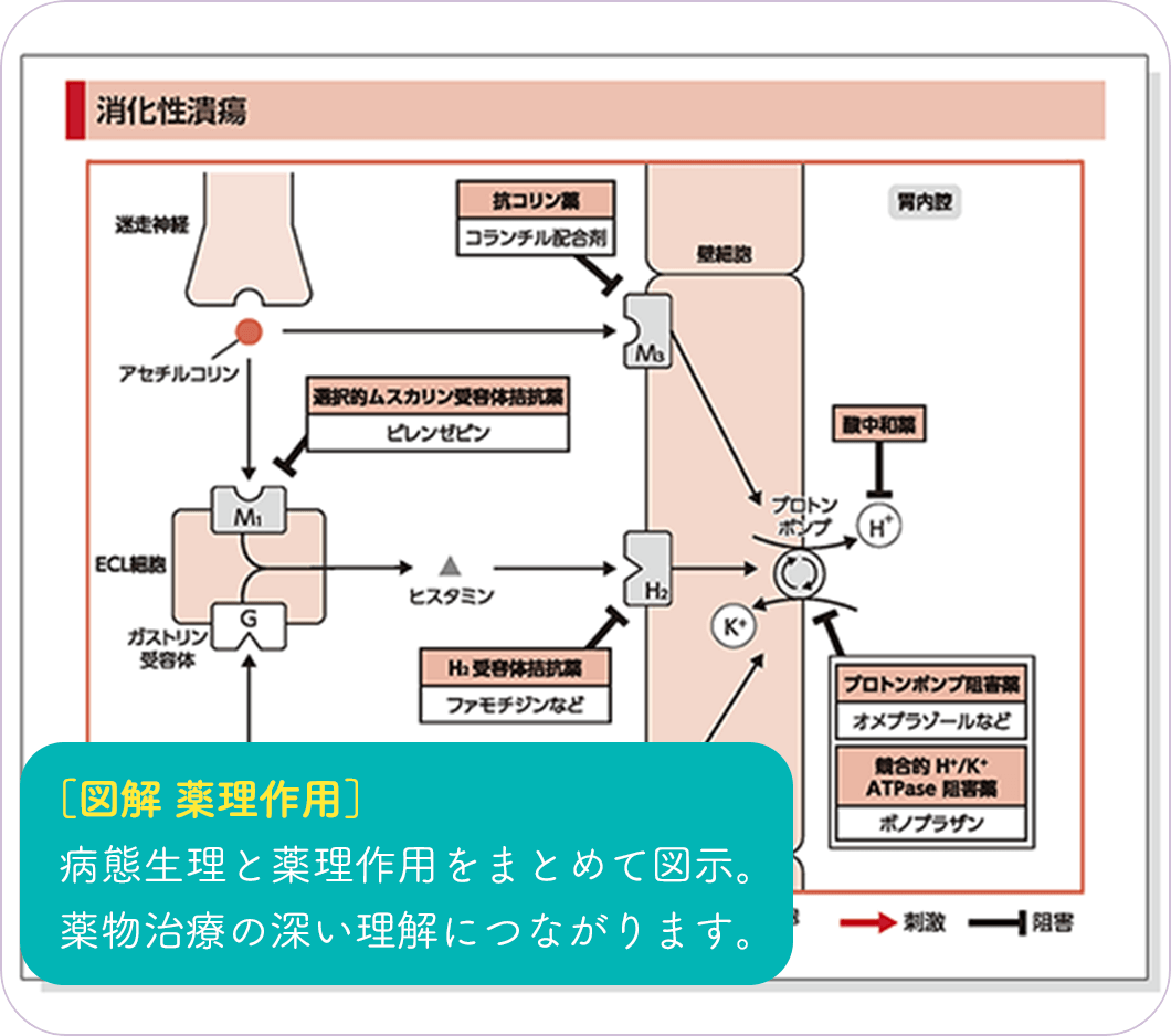 [図解 薬理作用]病態生理と薬理作用をまとめて図示。薬物治療の深い理解につながります。